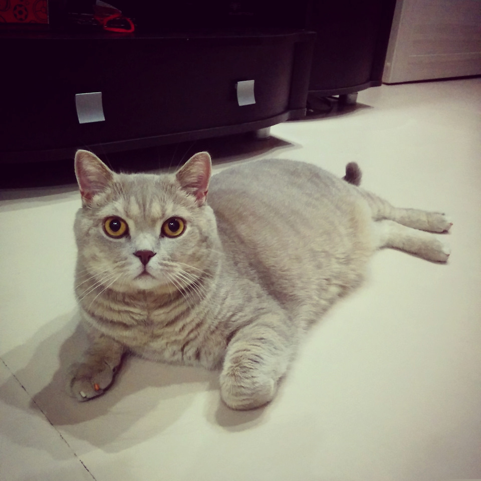 Прочитал? Понравилось? Напиши комментарий и поставь Лайк! — KIA Rio 5-door (3G)