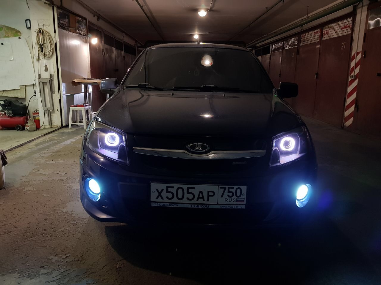 Ангельские глазки гранта 1. Глазки на гранту. Глазки на гранту. Ангельские глазки гранта фл. Ангельские глазки гранта фл.