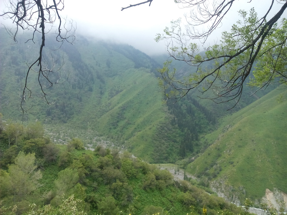 Фото в бортжурнале BMW 3 series (E36)