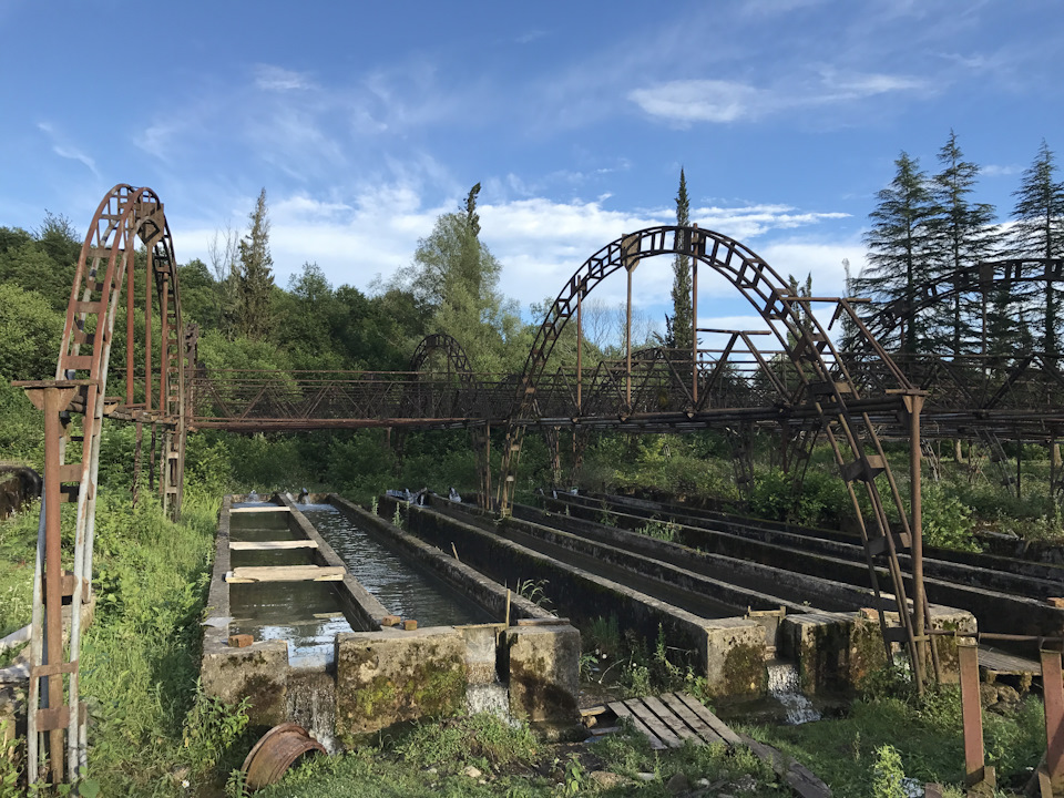 Абхазия.Форелевая ферма! — DRIVE2