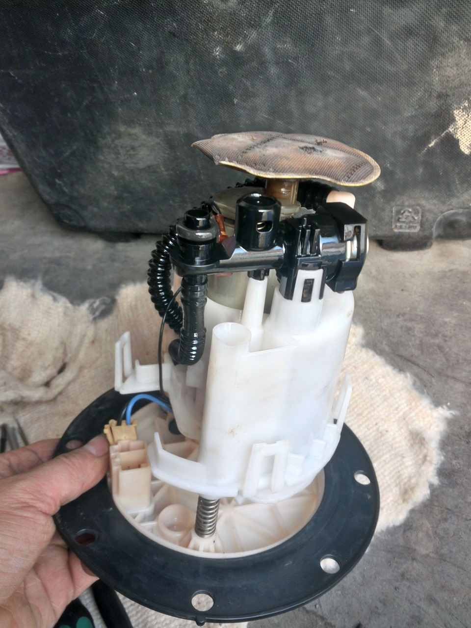 Фото в бортжурнале Subaru Legacy (BL/BP)