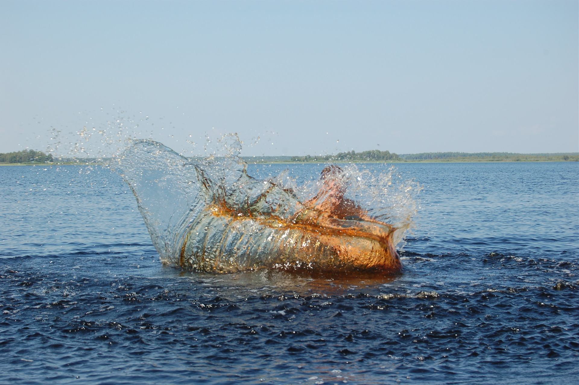 Большая рыба в Гусь Хрустальном озере 2021