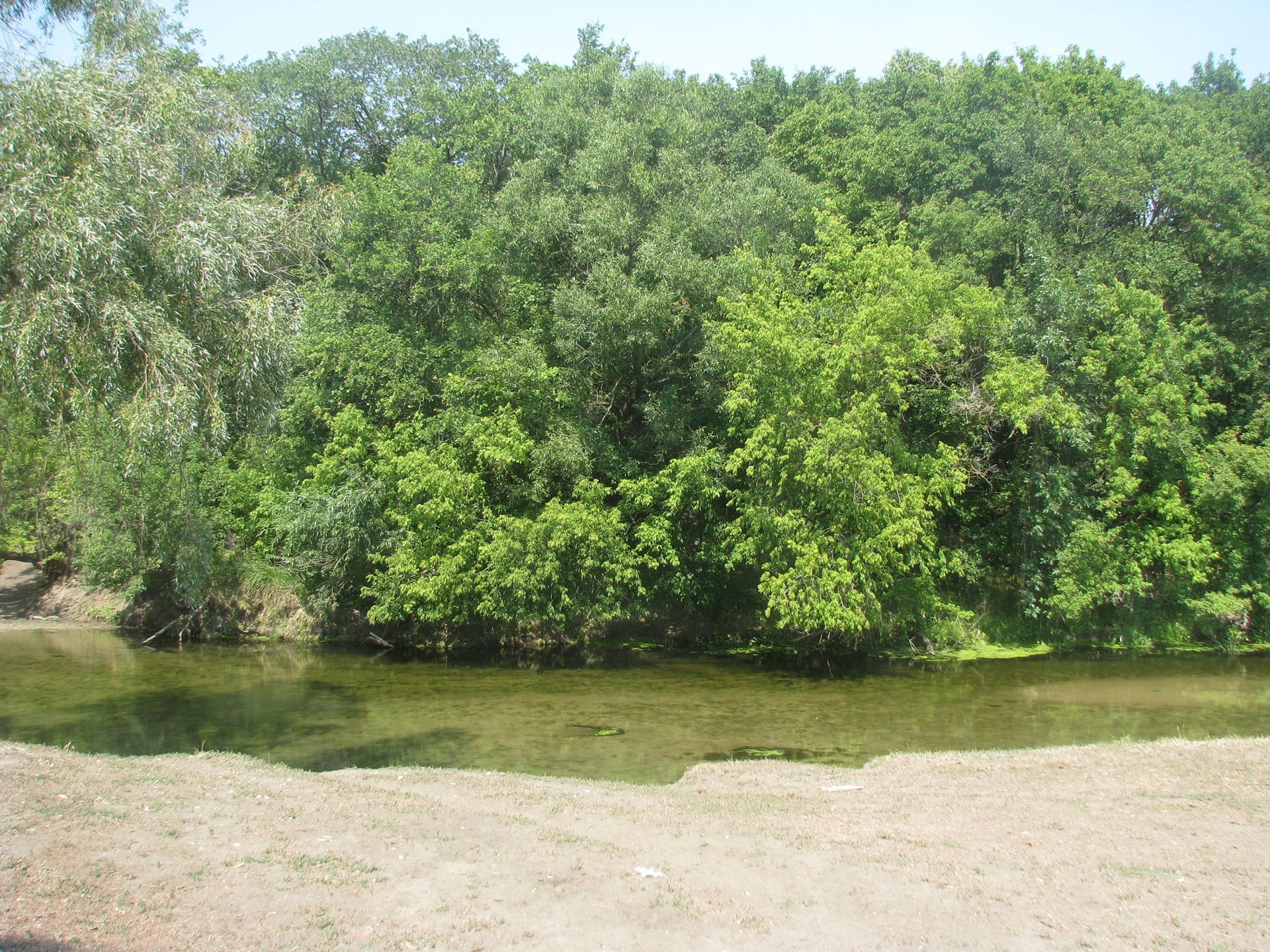 Село мордовский карай. Карай в Романовке Саратовская область. Река карай Саратовская область Романовский район.