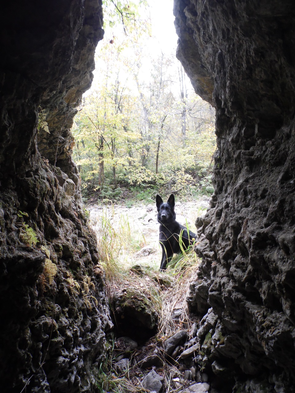Пещера Аскинский район