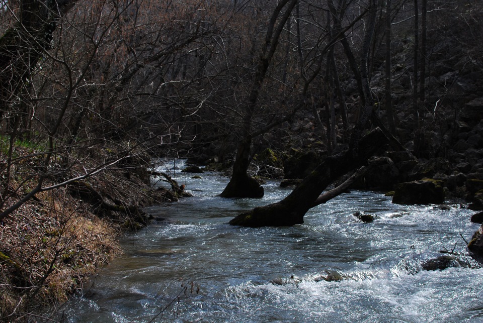 Черная река. Хантер темная река. Бафинг (чёрная река). Фото Берик и река темно. Темная река слушать