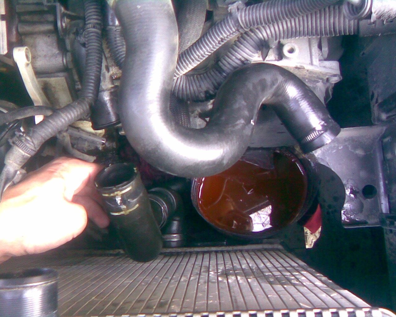 Ц ож. Citroen c4 патрубок термостата. Патрубок термостата Ситроен с4. Ситроен с 5 1.6 дизель патрубок с радиатора на термостат. Система охлаждения Ситроен с4 2005-2011.