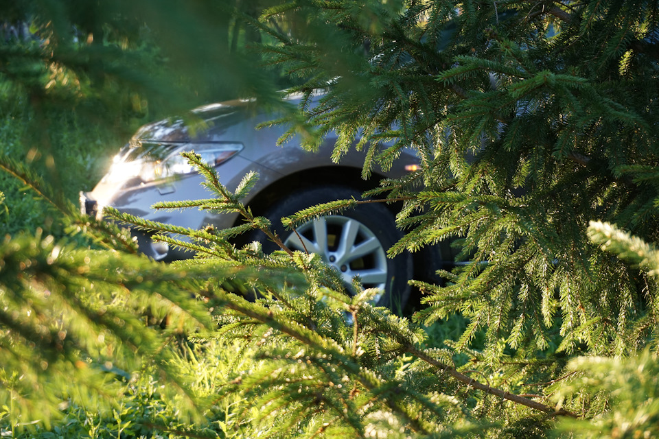 Фото в бортжурнале Nissan Murano II