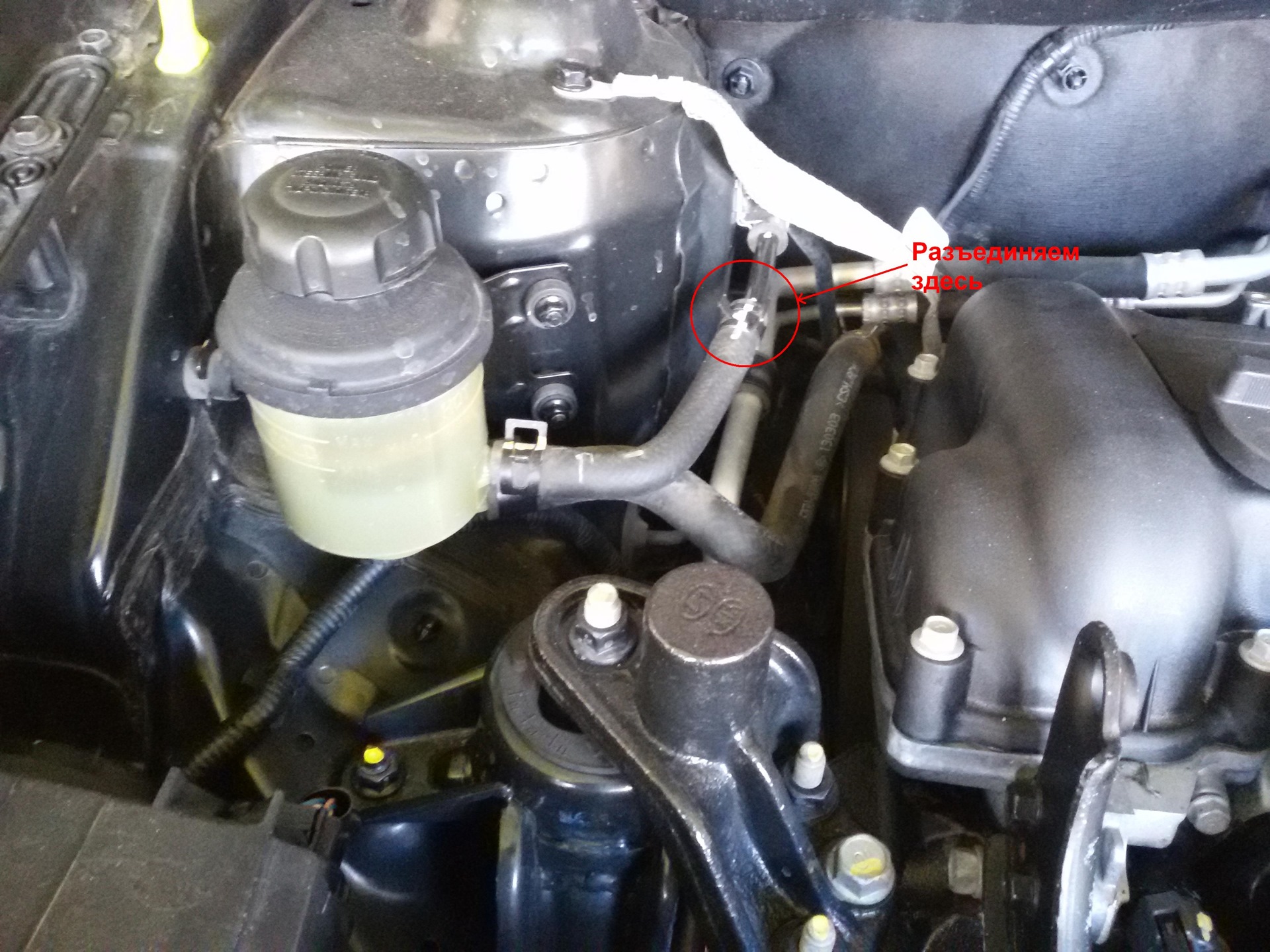 Замена жидкости ГУР — KIA Rio (3G), 1,6 л, 2013 года | плановое ТО | DRIVE2