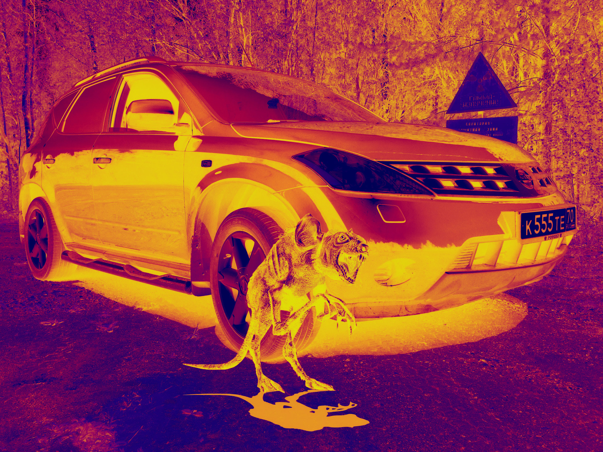 Зона отчуждения — Nissan Murano I, 3,5 л, 2005 года фотография DRIVE2