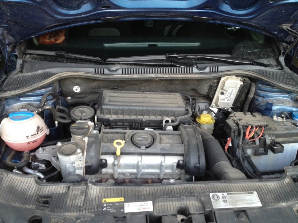Фото в бортжурнале SEAT Ibiza (6J)