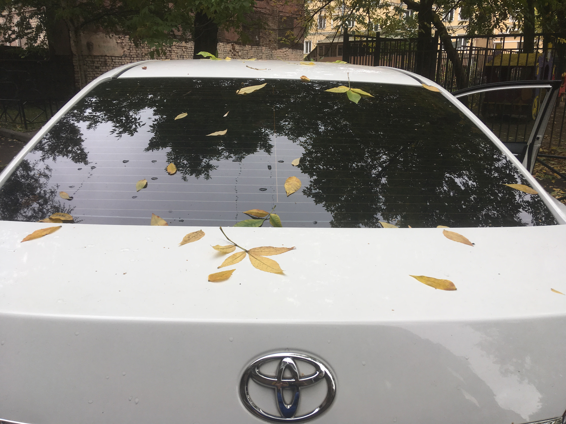 Где поклеить антигравийку в Москве? — Toyota Corolla (160), 1,6 л, 2013 ...