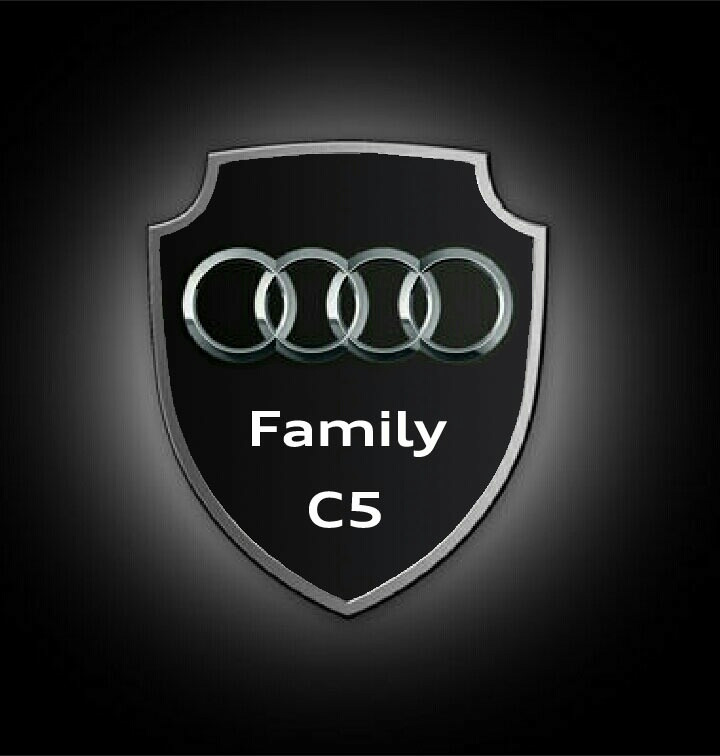 Ауди групп. Audi Group 5. Конгломерат Audi Group. Ауди  группа лопата. Ауди гр 5 ридер