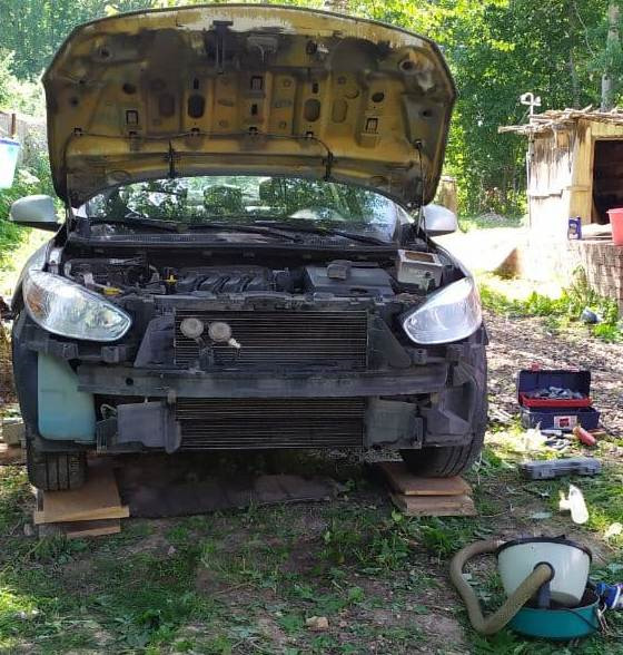 Мойка радиаторов без снятия. Ожег ступни борщевиком — Renault Fluence ...