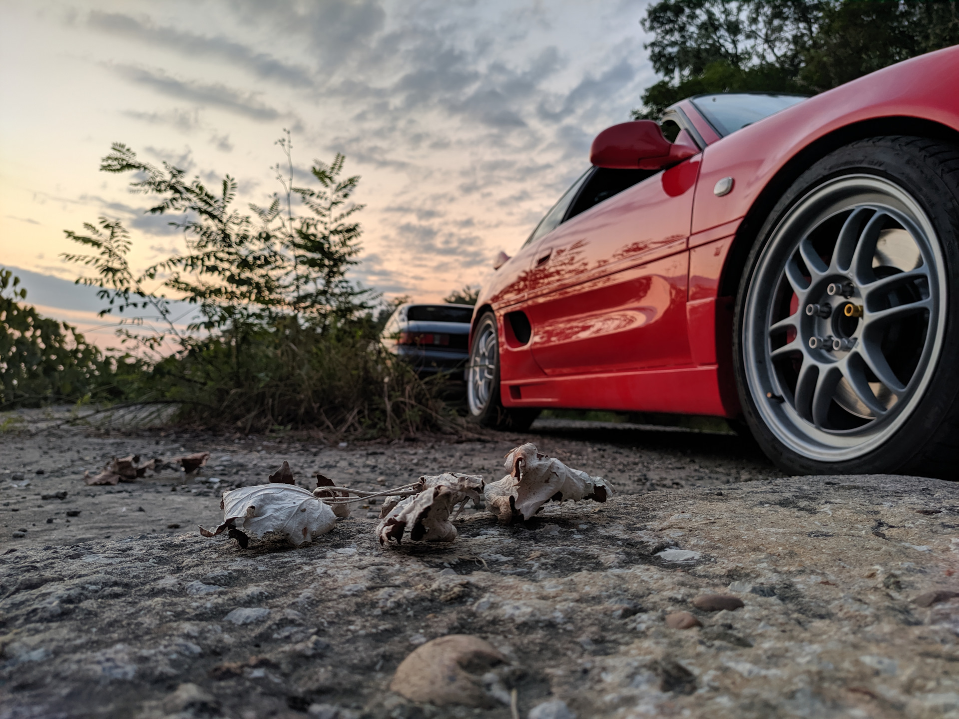 Toyota mr2 Gymkhana