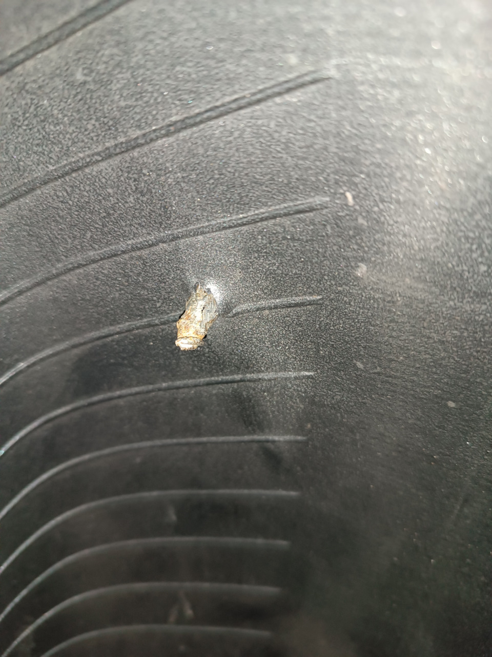 Фото в бортжурнале ГАЗ 3110