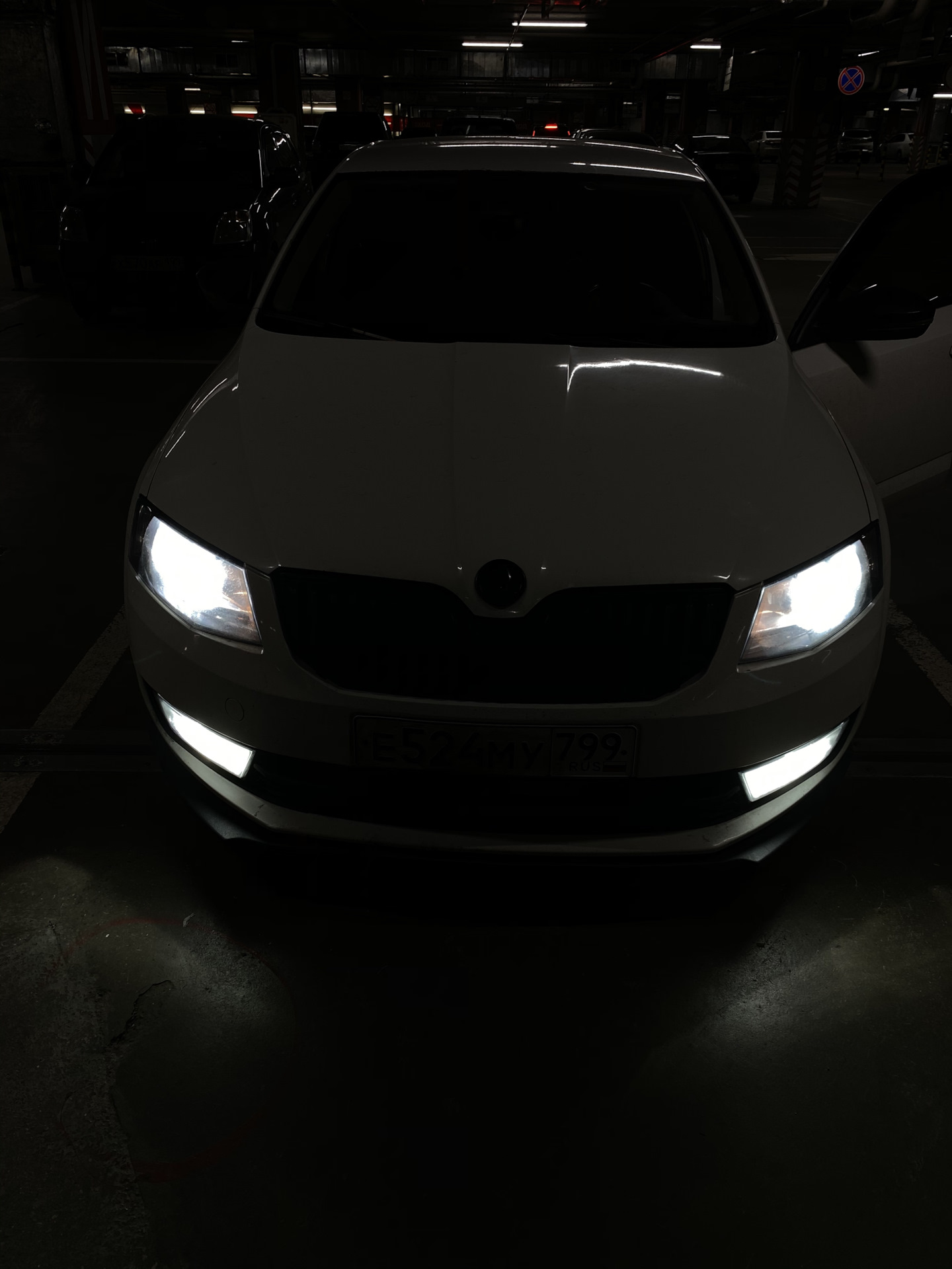 Лампочка octavia a7. Octavia a7 ксенон. Skoda Octavia a7 led. Octavia a7 FL галоген с линзами. Led лампы Octavia a7.