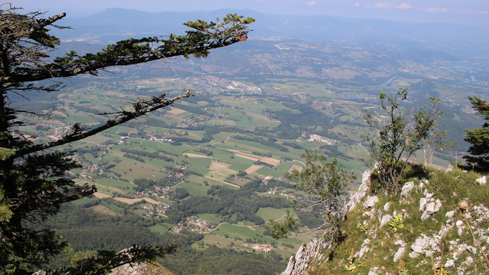 Кругом – убийственные обрывы и пейзажи на миллион баксов. — Audi A4 (B9)