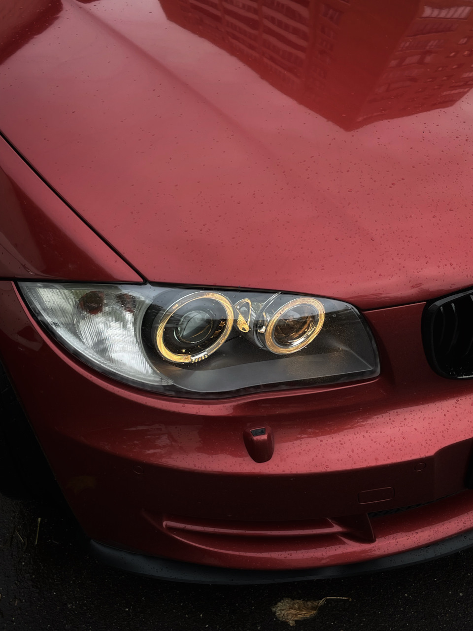 5. Оптика в круг — BMW 1 series Coupe (E82), 2 л, 2008 года | визит на  сервис | DRIVE2