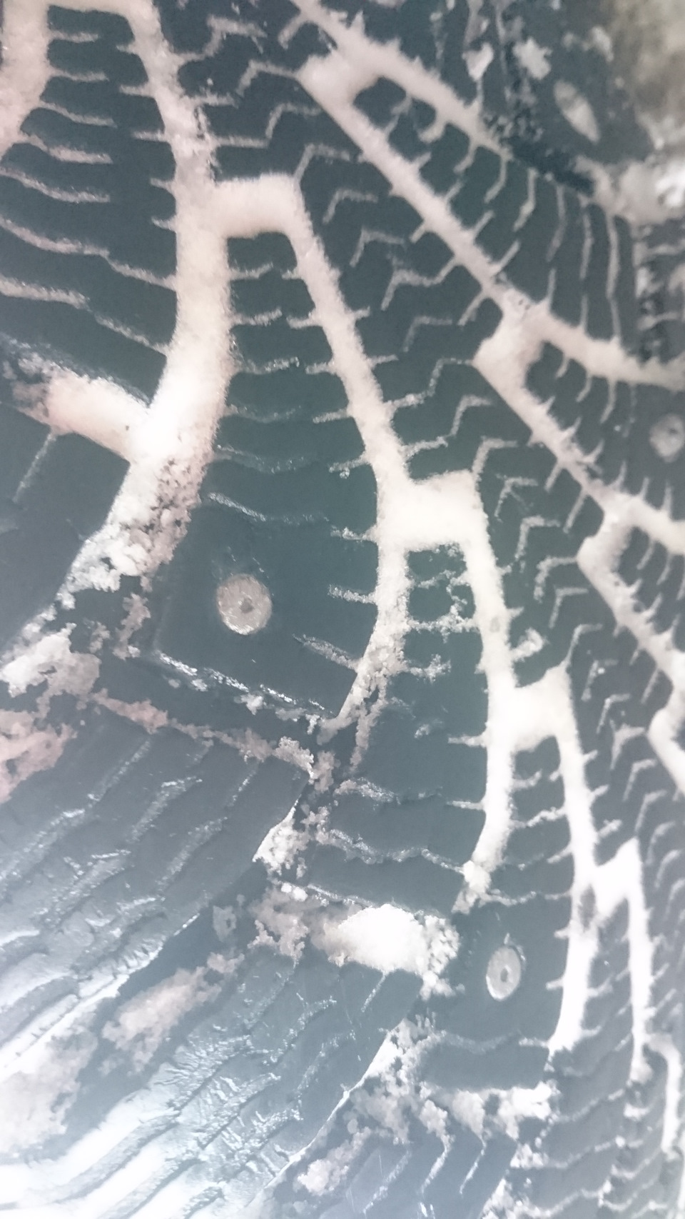 Фото в бортжурнале Subaru Forester (SG)