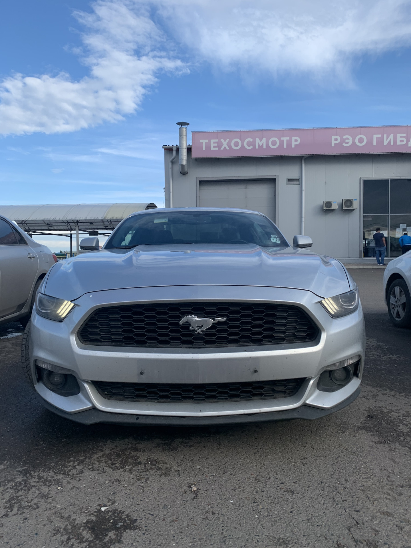 Регистрация — Ford Mustang (6G), 2,3 л, 2017 года | покупка машины | DRIVE2