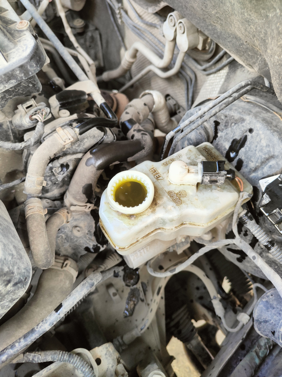 Бачок без сетки — Volkswagen Polo Sedan