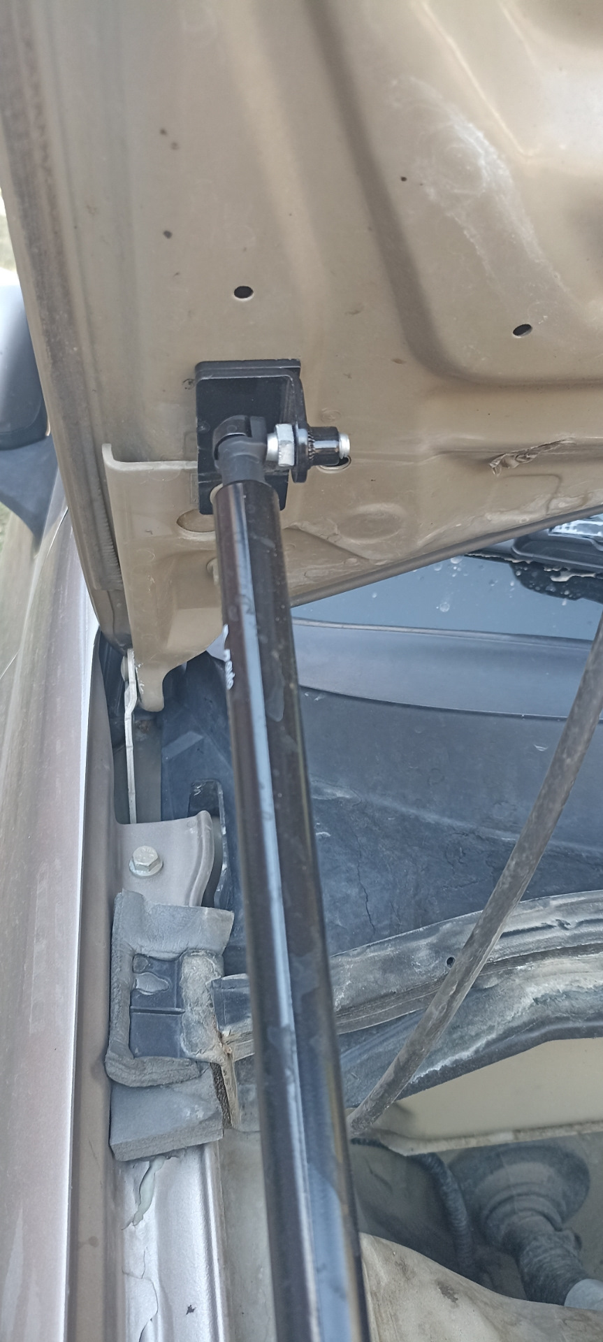 Фото в бортжурнале Nissan Almera II (N16)
