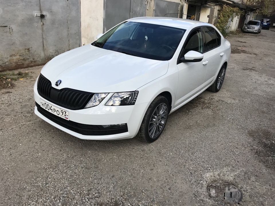 Решетка радиатора — Skoda Octavia A7 Mk3, 1,6 л, 2017 года | стайлинг ...