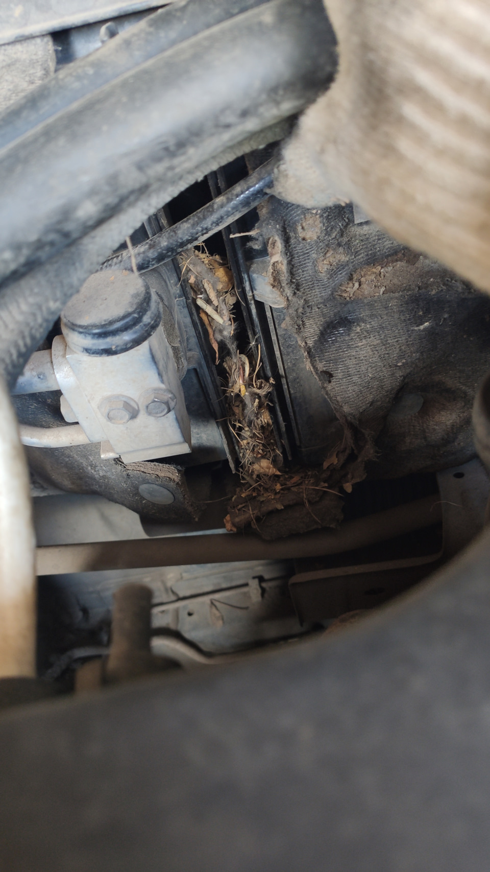 Фото в бортжурнале Lada Приора хэтчбек