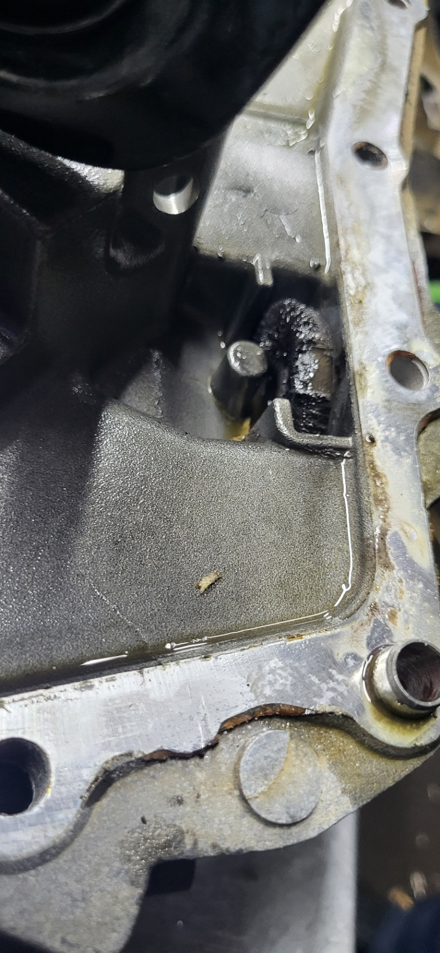 Магнит и стружка — Lada Ларгус