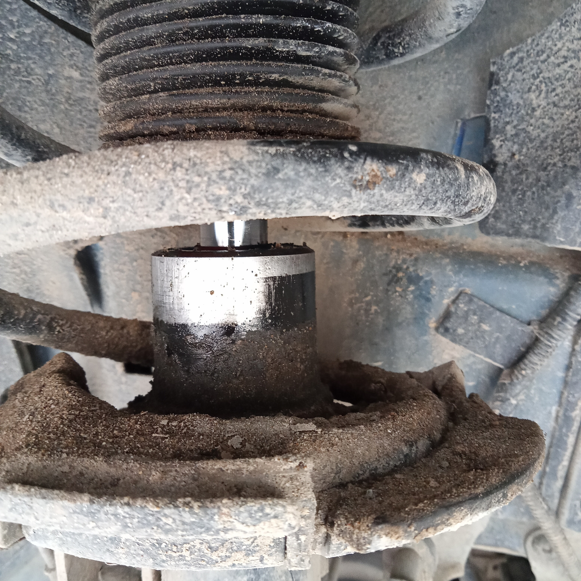 форд фокус 3 хэтчбек стойки. стока задняя на фокус 3. форс фокус 1 2004 передняя стойка амортизатора. стойка форд фокус 2 передняя правая. стойки передние форд фокус 3.