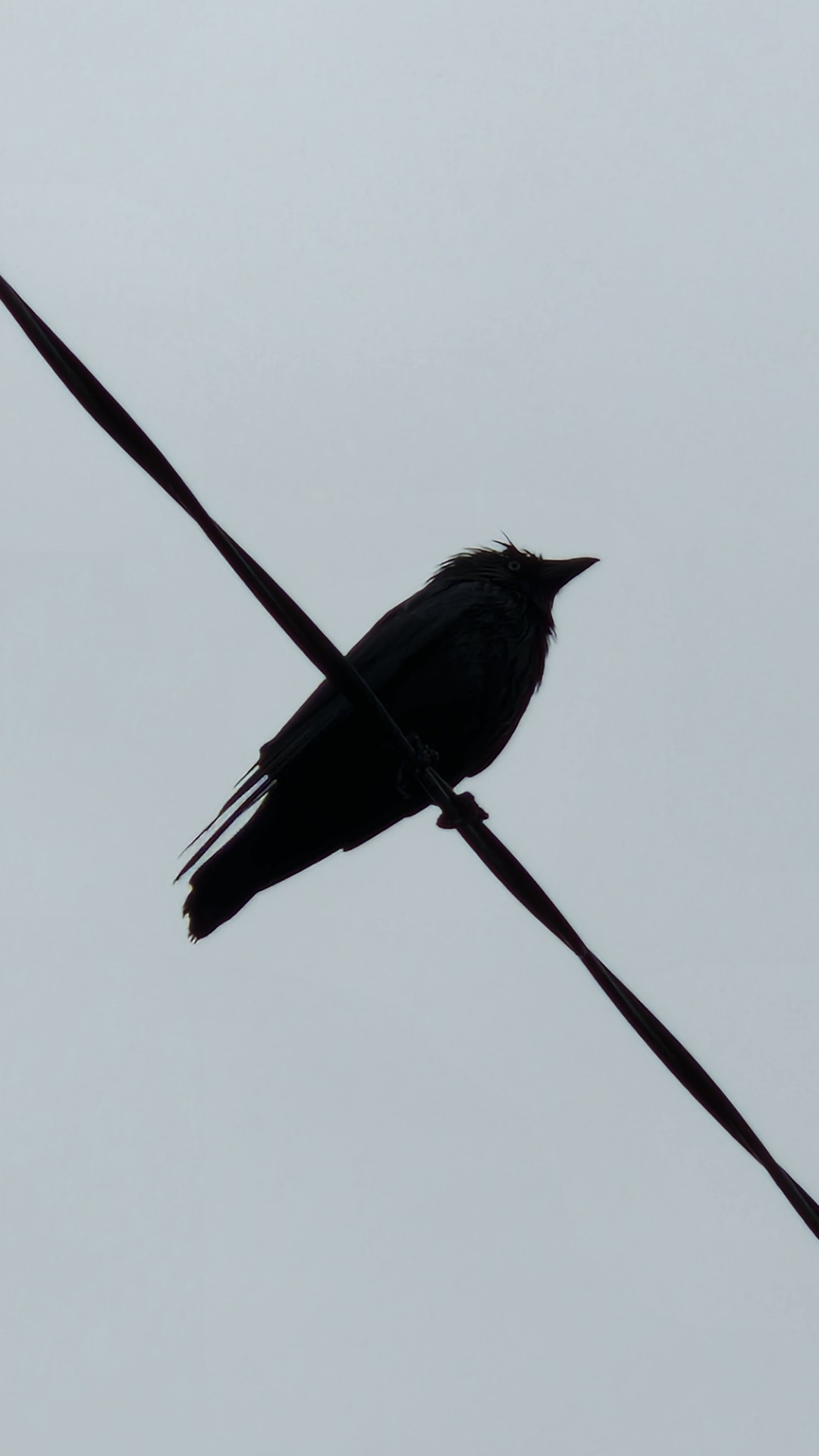 Замена ковриков на eva — KIA Sportage (3G), 2 л, 2011 года | стайлинг ...