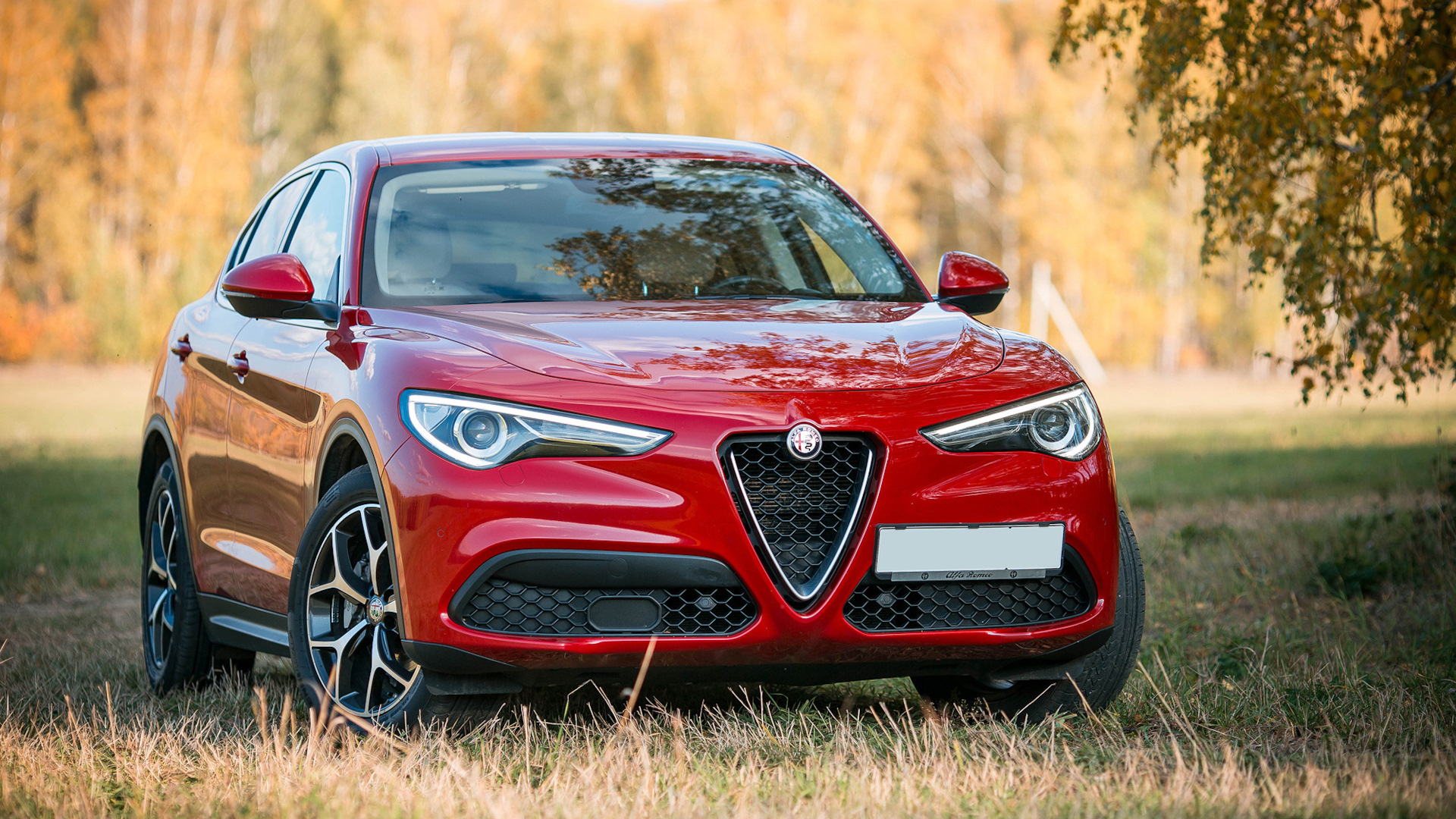 Alfa Romeo Stelvio 2.2 дизельный 2018 | 🇮🇹 La Fiamma Rossa на DRIVE2