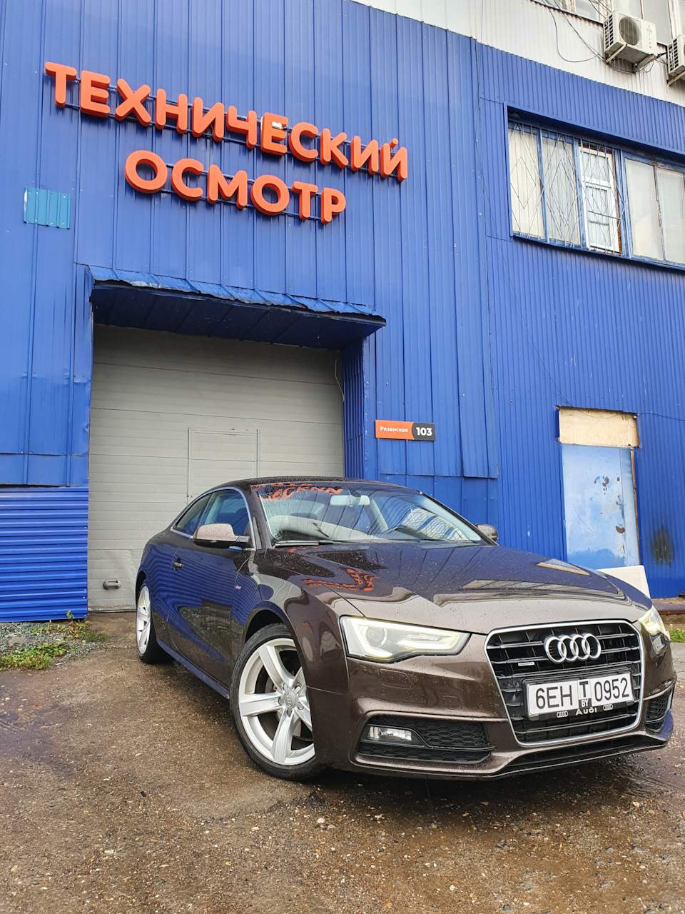audi-a5-1g-2-2013-drive2