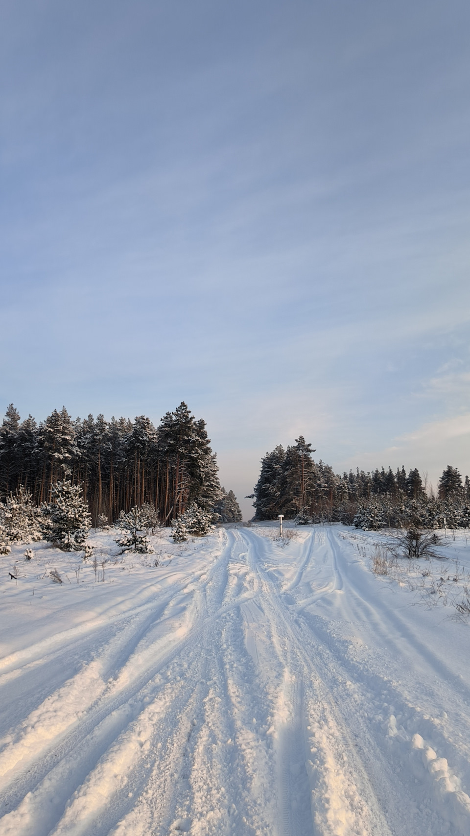 Лучшие фото зимой