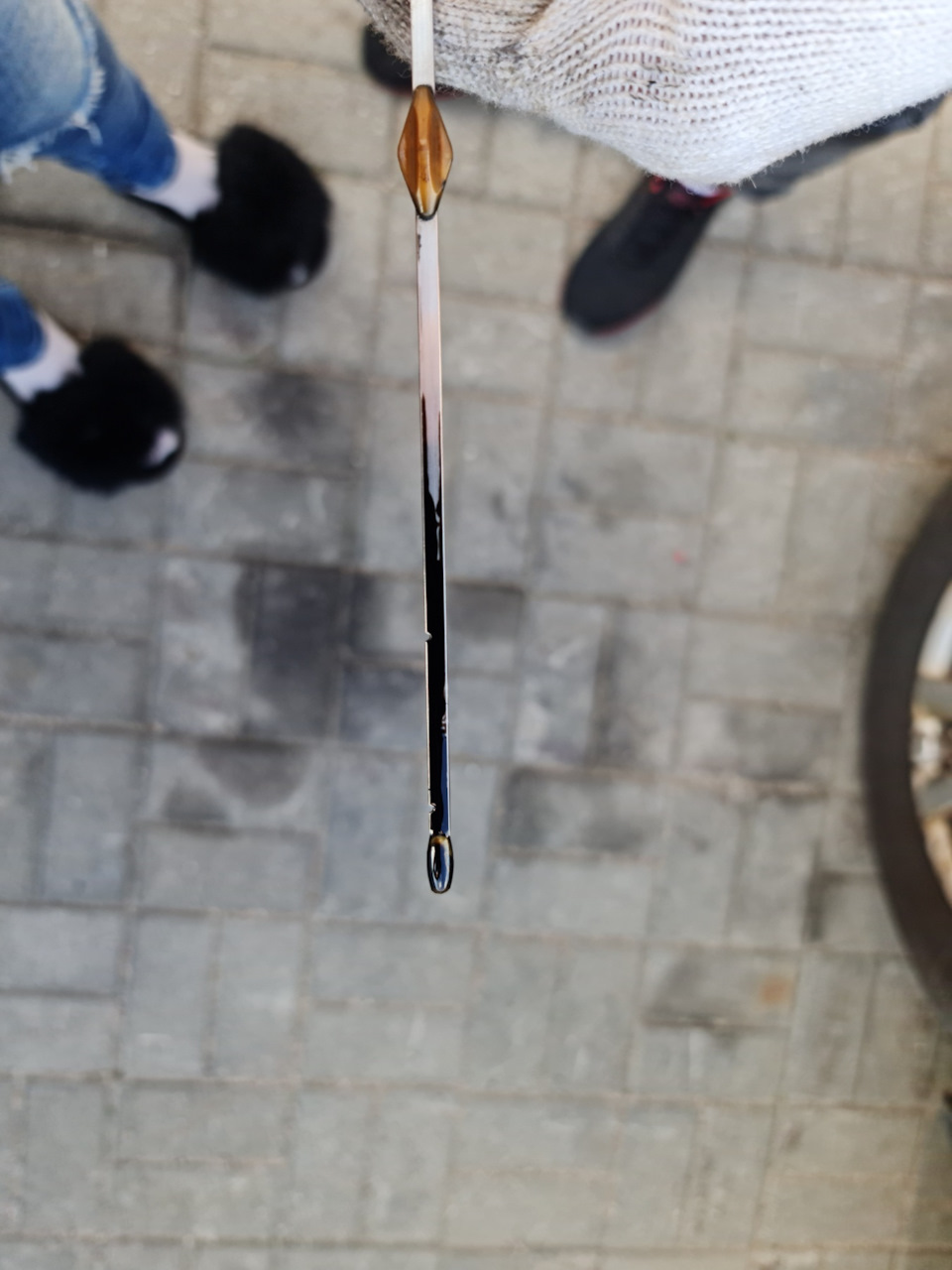 Уровень масла на Ниссан Кашкай — Nissan Qashqai (2G), 1,5 л, 2019 года ...