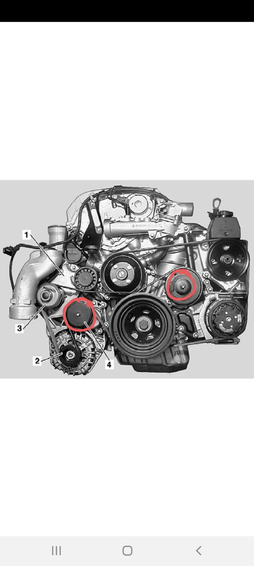 Замена поликлиновые ремни 111.955 и подсос воздуха — Mercedes-Benz C-class  (W203), 2 л, 2001 года | плановое ТО | DRIVE2