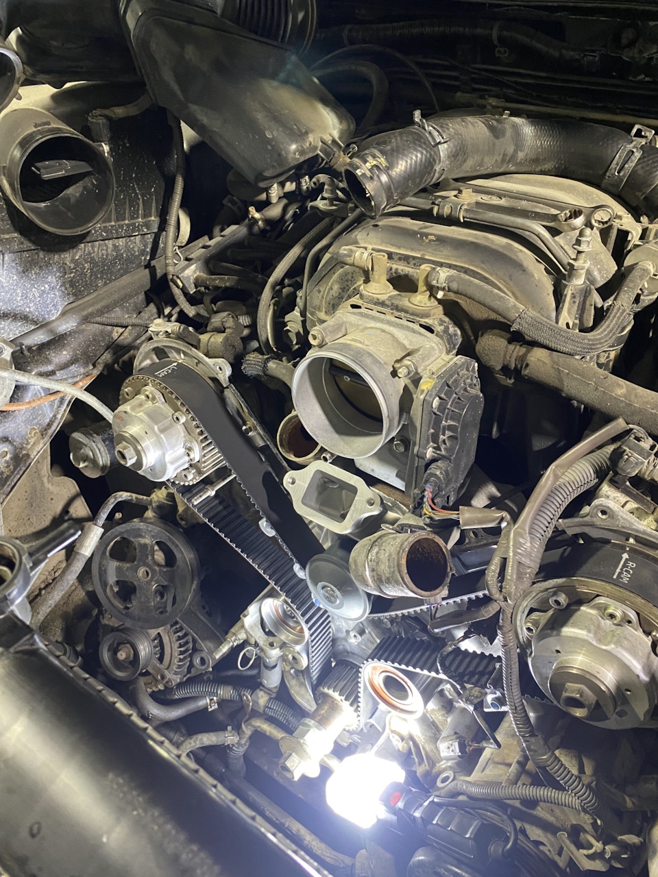 антифриз ленд крузер 100