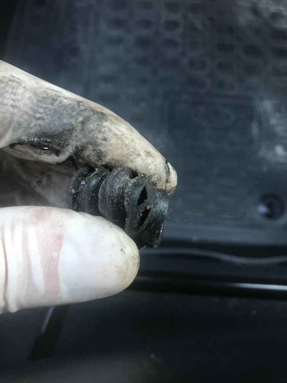 Фото в бортжурнале KIA Rio (3G)