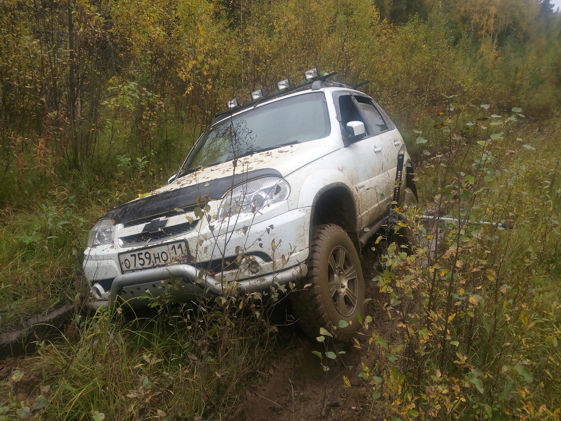 Погода в зимстане на неделю. Глухари на ниву. Посёлок Зимстан. Погода Зимстан. Погода в Зимстане.