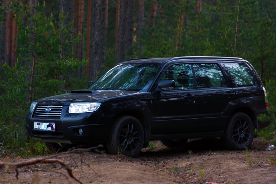 Forester drive2