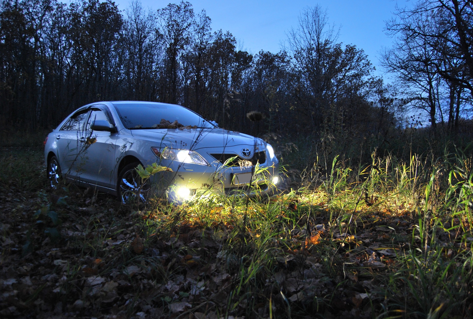 Camry v 20 в лесу