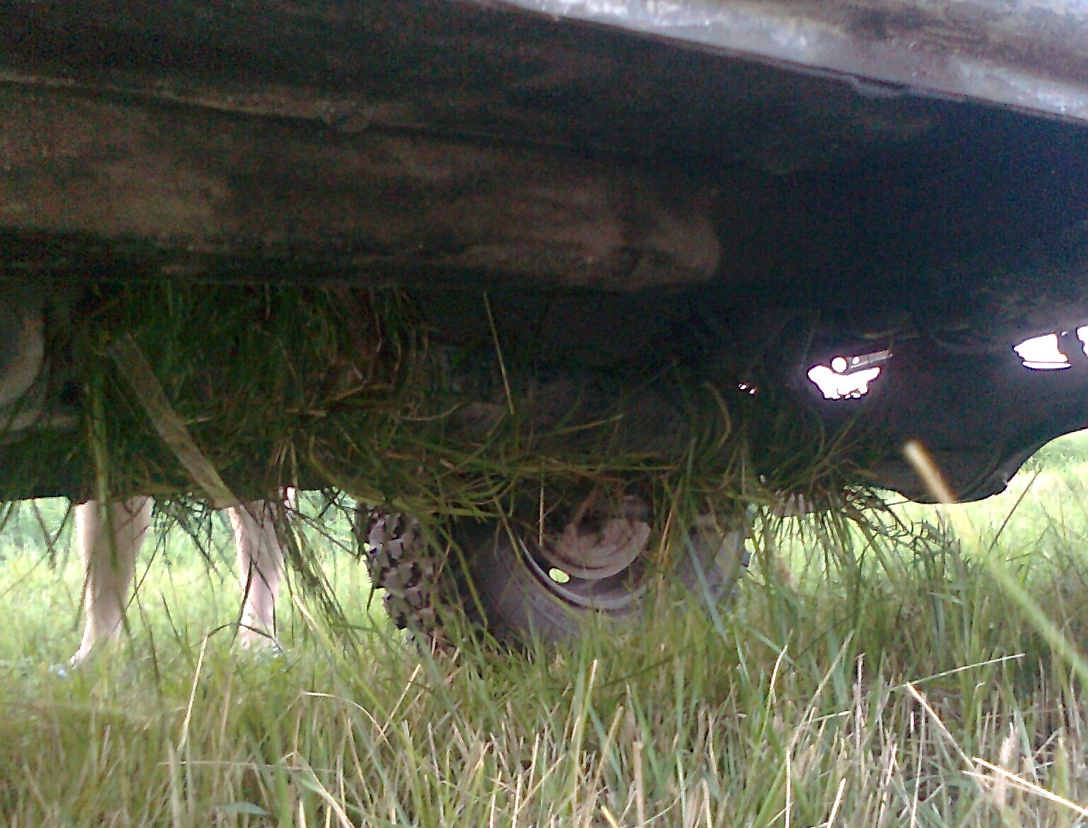 эх трава, травушка… — Lada 4x4 3D, 1997 года | фотография | DRIVE2