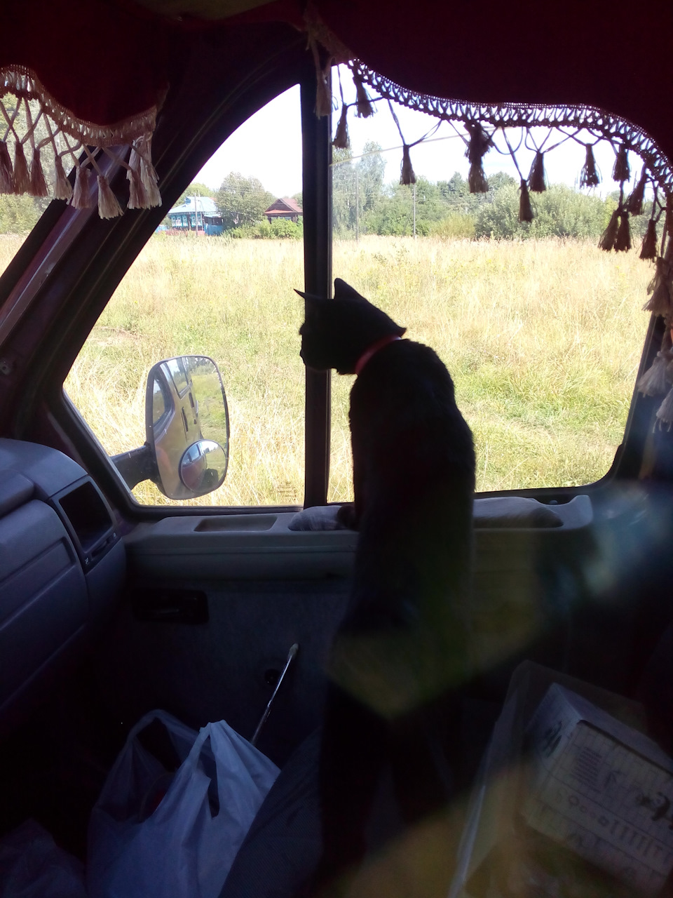 моя кошка Ночка — ГАЗ Газель, 2,6 л, 1998 года | просто так | DRIVE2