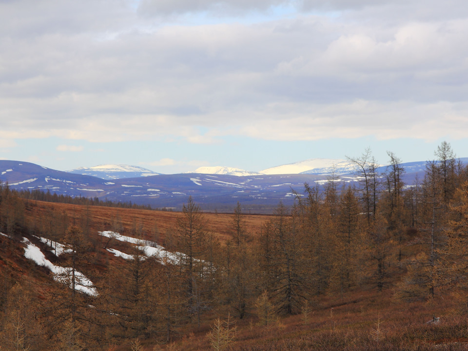 Photo from the logbook UAZ Patriot