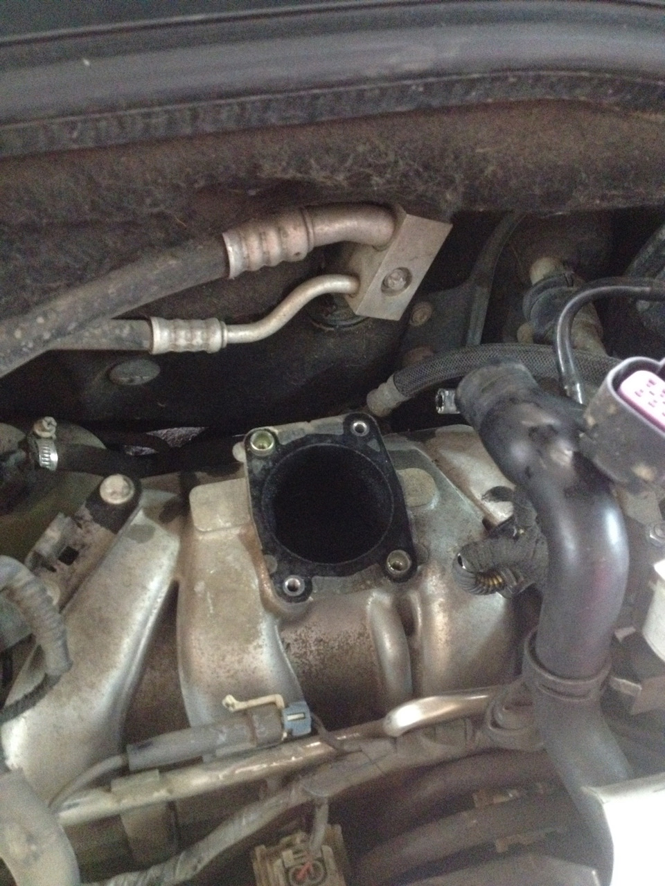 Готовимся к зиме, меняем жидкость в ГУРЕ — Opel Astra G, 1,6 л., 2001 ...