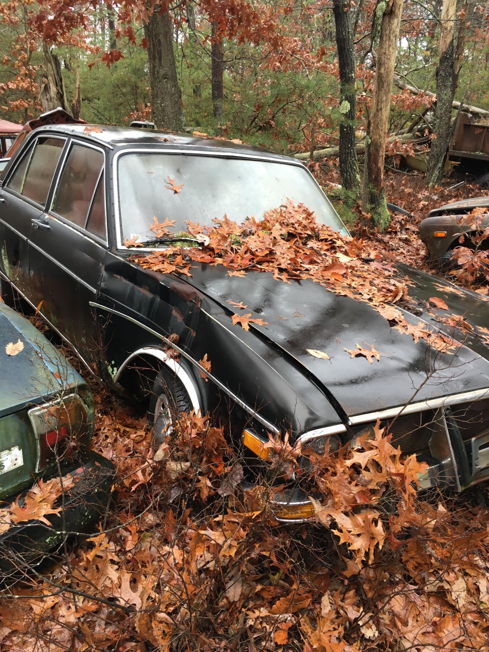 Audi 100 со свалки — DRIVE2