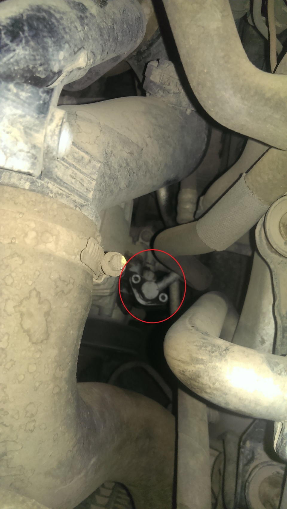 Протек … :(( — Volkswagen Amarok, 2 л, 2013 года | поломка | DRIVE2