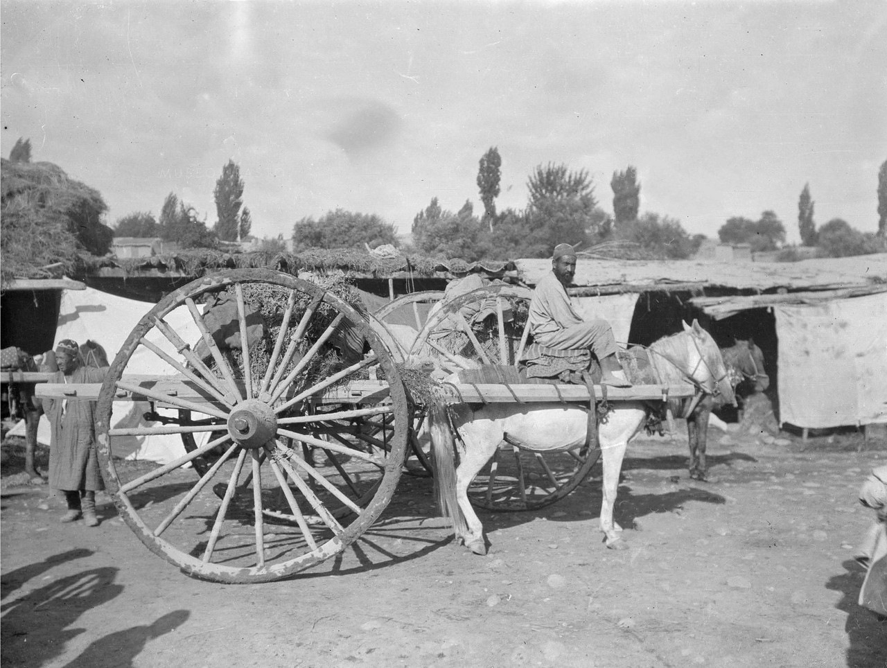 Сайт арба. Арба Ташкент. Азиатская Экспедиция Маннергейма 1906-1908. Среднеазиатская арба. Среднеазиатские повозки-арбы,.