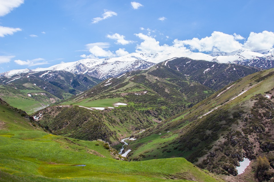 Фото в бортжурнале Mercedes-Benz G-Class (W460/W461)