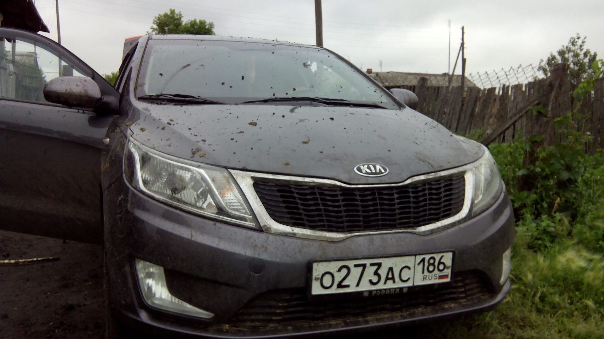 KIA Rio (3G) 1.6 бензиновый 2013 | Grey Wolf на DRIVE2